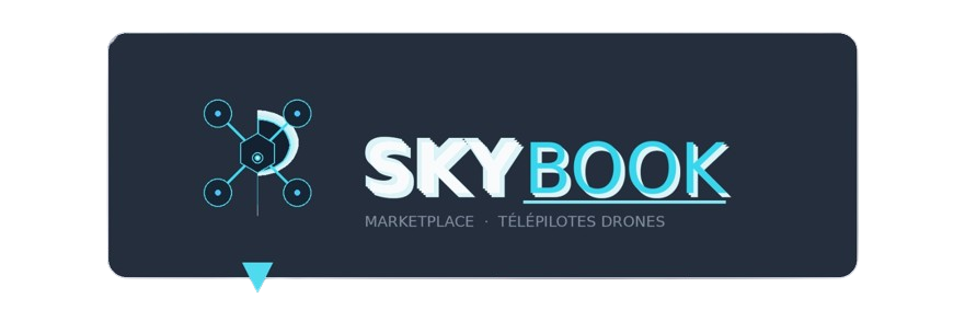 Logo SkyBook